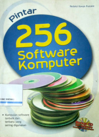 256 Software Komputer